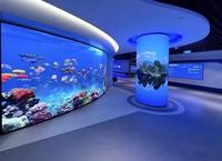 Panneau d'affichage vidéo LED COB ultra-mince P0.6 P0.9 P1.25 pour mur vidéo intérieur et affichage numérique pour cinéma maison