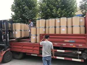 สารสกัดจากใบตำแยอินทรีย์ผงราก Sengal Persendian - Product Image 3