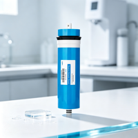 Membrane d'osmose inverse en polyamide composite à film mince 300 GPD, élément enroulé en spirale pour l'alimentation en eau potable des cantines scolaires