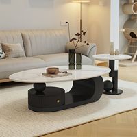 Ensemble de table basse créative en 2 pièces de style crème pour salon, forme ovale, petite unité, style italien, minimaliste, avec rangement