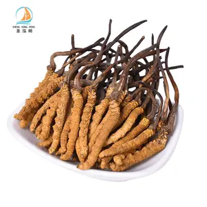 Whole Price Wild Fresh Freeze Dried Whole Organic Cordyceps Sinensis Cordyceps Fungus