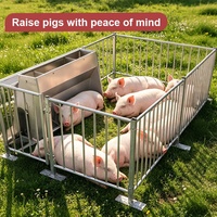 Maßgefertigter Feuerverzinkter Schweinefleischungsstall mit Komplettem Zubehör, Langlebiger Abfertigungsstall für die Schweinezucht