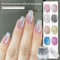 Poudre à ongles œil de chat universelle, poudre magnétique professionnelle pour salon, pour vernis à ongles et gel