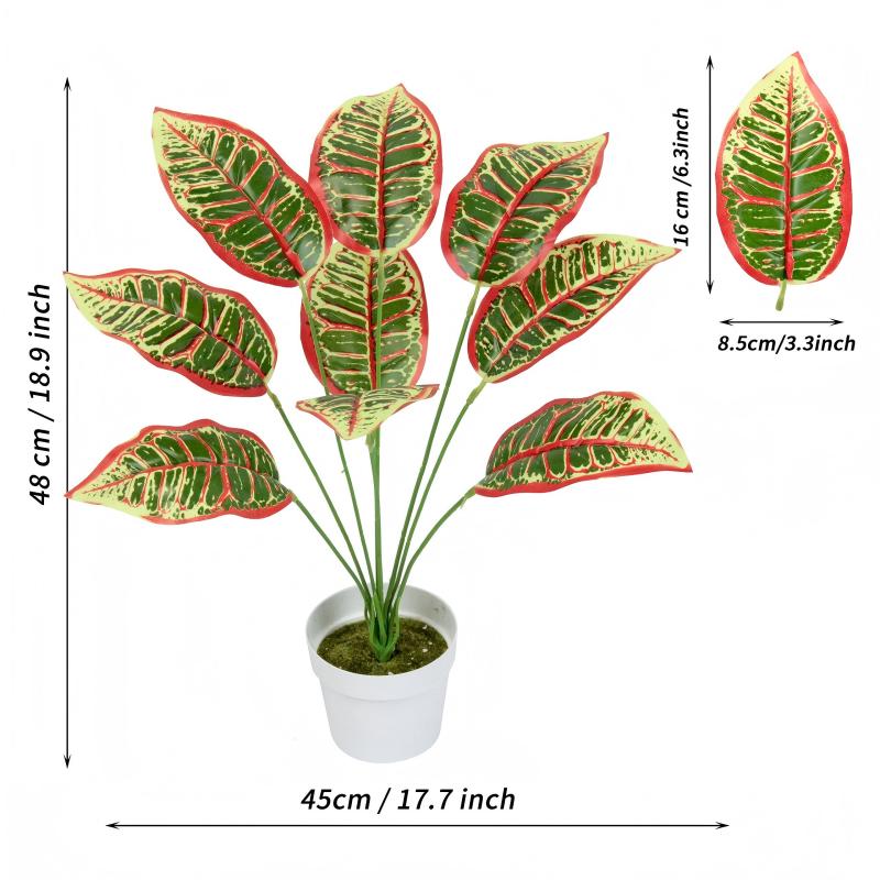ใบไม้สีเขียว 9 ใบ