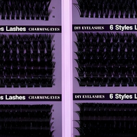Kit de Cils en Grappes Réutilisables Faits Main, 12 Rangées de Segments Mixtes de Longueurs Variées pour Extensions de Cils DIY Faciles, Effet Naturel et Spectaculaire