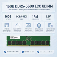 AD258353 RAM DDR5 16 Go 5600 ECC PC5-44800R 1.1V Non-bufferisée pour Terminal de Check-in de Bureau, Hall d'Accueil, Fourniture OEM