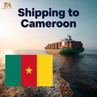 DDP DDU 40gp 20gp Transport maritime rapide de conteneurs, expédition vers le Cameroun/le Kenya, transitaire maritime
