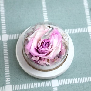 Set regalo in vetro ogni fabbrica di amore all'ingrosso fiore conservato per sempre rosa eterna romantica festa della mamma ambiente amichevole - Product Image 2