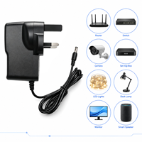 Adaptateur secteur professionnel conforme RoHS 100-240V AC/DC 1A 12V 12W pour fournitures pour animaux de compagnie