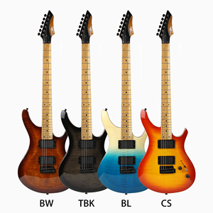 Best-selling ST electric guitar with multiple color panels, painted finish, small dual-arm tremolo bridge, and 5-position switch - Product Image 1