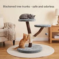 Arbre à chat moderne de luxe en bois pour chats d'intérieur, griffoir en tronc naturel, tour d'activités stable et grande pour chatons