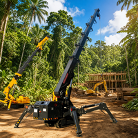 Mini-grue araignée hydraulique à flèche télescopique pour projets de construction en intérieur et en extérieur en espaces étroits