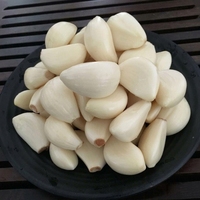 Ail frais chinois congelé, pelé, en gros, pour la vente en gros et au détail, ail de qualité alimentaire IQF
