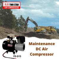 Compresseur d'air professionnel, pompe à longue autonomie, sans huile, résiste aux intempéries, 12 V/24V