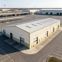 Estructura de Acero Ligero Prefabricada Personalizada, Almacén Moderno, Taller, Edificio Metálico con 5 Años de Garantía
