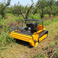 Promotion : Tondeuse à fléaux télécommandée sur chenilles 800 mm EPA EURO5 pour la tonte industrielle en bord de route