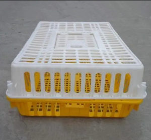 Nouvelles caisses de transport pour poulets, cage/poulailler <span class=keywords><strong>en</strong></span> plastique PE bon marché avec une capacité de 7 à 10 poulets, caisses agricoles - Product Image 4