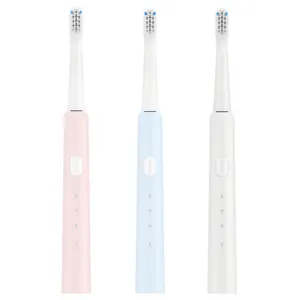 Baolijie elektrische Zahnbürste Modedesign billige Erwachsenen aufladen Sonic wasserdichte elektrische Zahnbürste