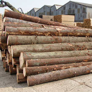 Beech Spruce & Pine Wood Logs Grade a 112cm Length 100m Diameter Round Cool Dry Storage 10 Year <b>Shelf</b> Life - Product Image 3