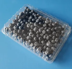 투명 애완 동물 물집 플라스틱 punnet 450ml 블루 베리 과일 대합 조개 껍질 포장 구멍
