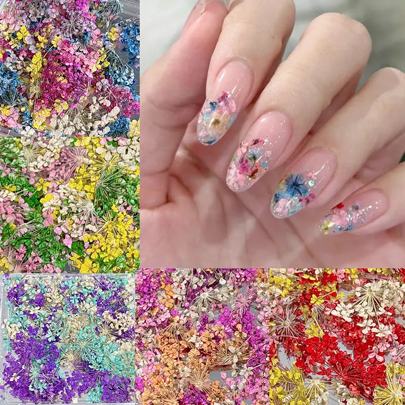 The Latest Mini Real Natural Flower 3d Nail Products Dried Flowers Stickers Manicure Charms Designs For Nails Accessories