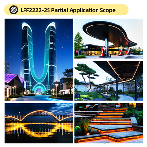 Bande lumineuse LED flexible en silicone RGBW personnalisée LFT2222-1, étanche IP67, lumière néon pour l'extérieur, façade <span class=keywords><strong>de</strong></span> bâtiment d'hôtel - Product Image 2