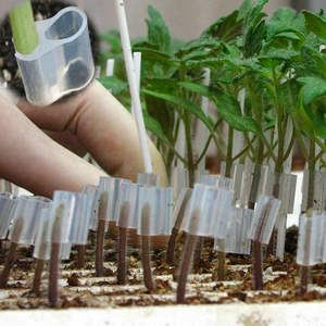 Clips de greffage de légumes en silicone, 50 pièces, 1.2-3mm, pour la greffage de légumes - Product Image 5