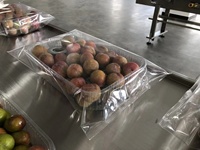 Ruipuhua Horizontal automatique fruits frais/chili cerise dans plateau sac en plastique flux emballage Machine