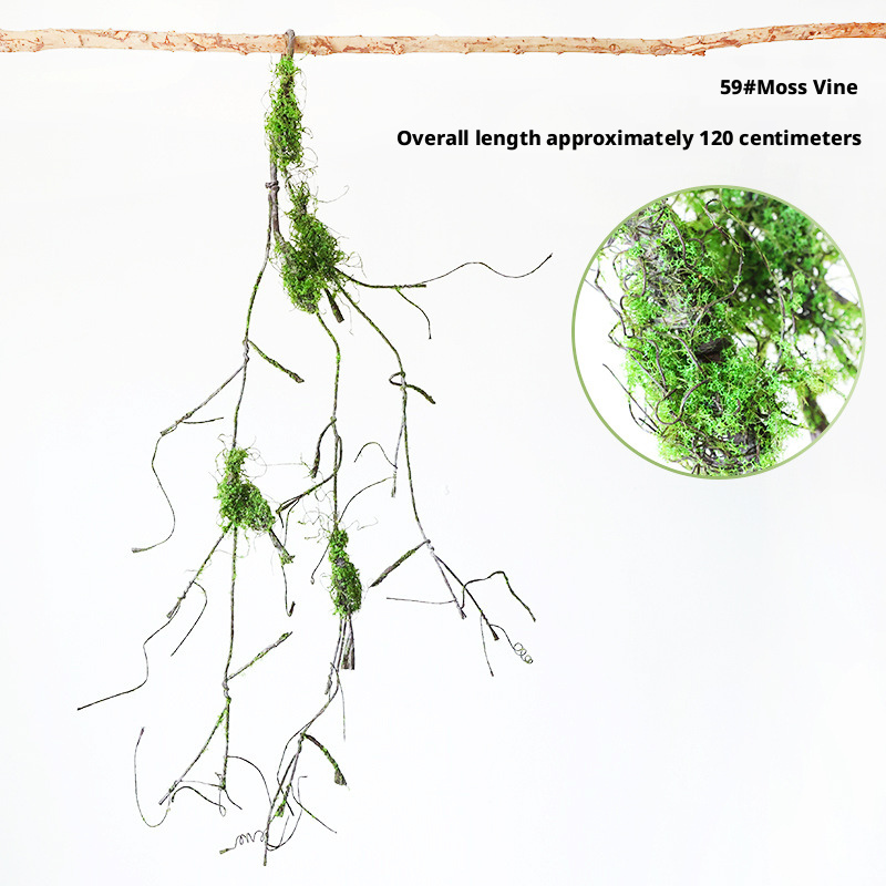 6#  59#Moss Vine