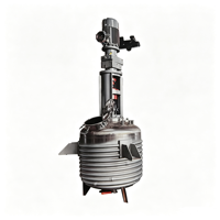 Agitateur automatique en acier inoxydable 304 316, réacteur 380V, cuve sous pression pour agitation chimique