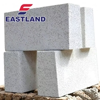 Panel Lantai ALC Insulasi Ramah Lingkungan Tahan Api Modern untuk Aplikasi Rumah Sakit dan Vila