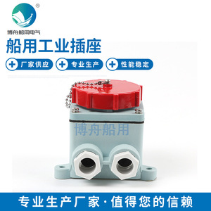 ปลั๊กไฟมาตรฐาน IEC ขายส่ง รุ่น R12-3 สำหรับงานทางทะเลและอุตสาหกรรม รหัสสากล 792764 ฝาครอบสีแดง 15A มาตรฐานปลั๊ก EU 16A มาตรฐาน CN - Product Image 1