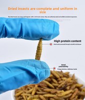 100% naturel en vrac vers à haute teneur en calcium haute teneur en protéines alimentation animale séchage au micro-ondes séché noir soldat mouche larves pour la nourriture des oiseaux