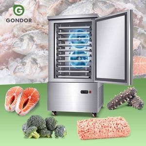 Máquina de Congelación Rápida IQF de 30 Bandejas para Pollo y Pescado en Guangzhou - Product Image 1