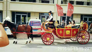 Elegante paseo en carruaje tirado por caballos elegante vagón de caballos estilo americano vintage limusina carruaje de caballos - Product Image 3