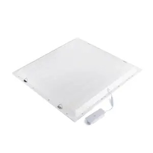 Modern Design Commercial Lighting Dimmable 600x600 Back-Lit LED Panel 60x60 1200x600mm Flat Sky Control Panel 40W Panel Lights