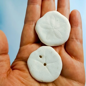 Tự nhiên cát đô la hóa thạch biển nhím vỏ trang trí vỏ ốc xà cừ đồ trang trí đám cưới Tự làm vỏ - Product Image 5