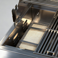Accessoire de barbecue professionnel Premium rentable pour barbecue pièces de gril à gaz GPL NG résistance à la chaleur brûleur infrarouge en céramique SUS304