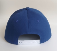 Gorra de Béisbol Unisex de Lona de Algodón, Material Curvo y Duradero, Diseño Ajustable a la Moda, Logotipo Personalizado Bordado