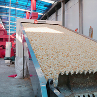 Ligne de production de séchage de fruits personnalisée Jujube Agrumes Ramboutan Cerises Litchi Ceinture de fruits Équipement de séchage