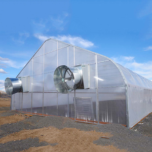 One-one Economic Hot Galvanized Single Span <strong>Green</strong> House Film <strong>Vegetable</strong> Greenhouse for Tomato - Product Image 3