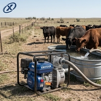 Pompe à eau à essence de 3 pouces, 7 CV, 212 cm³, système d'irrigation avec structure renforcée, débit élevé portable pour usage agricole