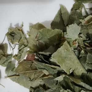 Yin yang huo, дикий натуральный короченный эпимадиум brevicornum, сушеные надземные части, распродажа - Product Image 3