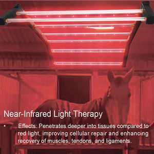 Động vật sử dụng ngựa đầy đủ cơ thể dẫn điều trị thanh ánh sáng solarium Red Blue hồng ngoại trị liệu ánh sáng cho Pain Relief sửa chữa chăm sóc da - Product Image 5