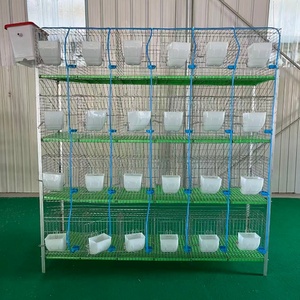 กรงบ้านกระต่าย<span class=keywords><strong>เนื้อ</strong></span>แนวตั้ง4ชั้นแบบมืออาชีพใหม่สำหรับฟาร์ม - Product Image 2