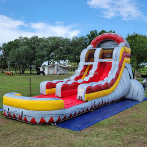 สไลด์น้ำ<span class=keywords><strong>เป่า</strong></span><span class=keywords><strong>ลม</strong></span>แบบเป่าลมรูปต้นปาล์มเขตร้อนแบบมีที่เป่าลม - Product Image 5