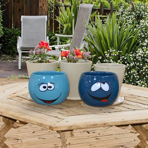 <span class=keywords><strong>Mini</strong></span> <span class=keywords><strong>Pot</strong></span> <span class=keywords><strong>de</strong></span> fleurs magnétique en céramique, Succulent, nouveau Design, 1 pièce - Product Image 4