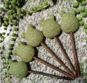 Vente en gros personnalisé différents jouets d'<span class=keywords><strong>herbe</strong></span> <span class=keywords><strong>à</strong></span> <span class=keywords><strong>chat</strong></span> en forme de sucette interactif favoriser la digestion jouet de balle d'<span class=keywords><strong>herbe</strong></span> <span class=keywords><strong>à</strong></span> <span class=keywords><strong>chat</strong></span> - Product Image 3