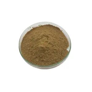 Polvo de extracto de raíz de alkanet, 100% natural