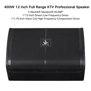 Tùy Chỉnh Bên Tổ Chức Sự Kiện Âm Thanh Máy Âm Thanh Chuyên Nghiệp 450W Thụ Động 12-Inch Loa Chuyên Nghiệp - Product Image 6